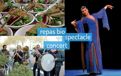 repas-spectacle-concert